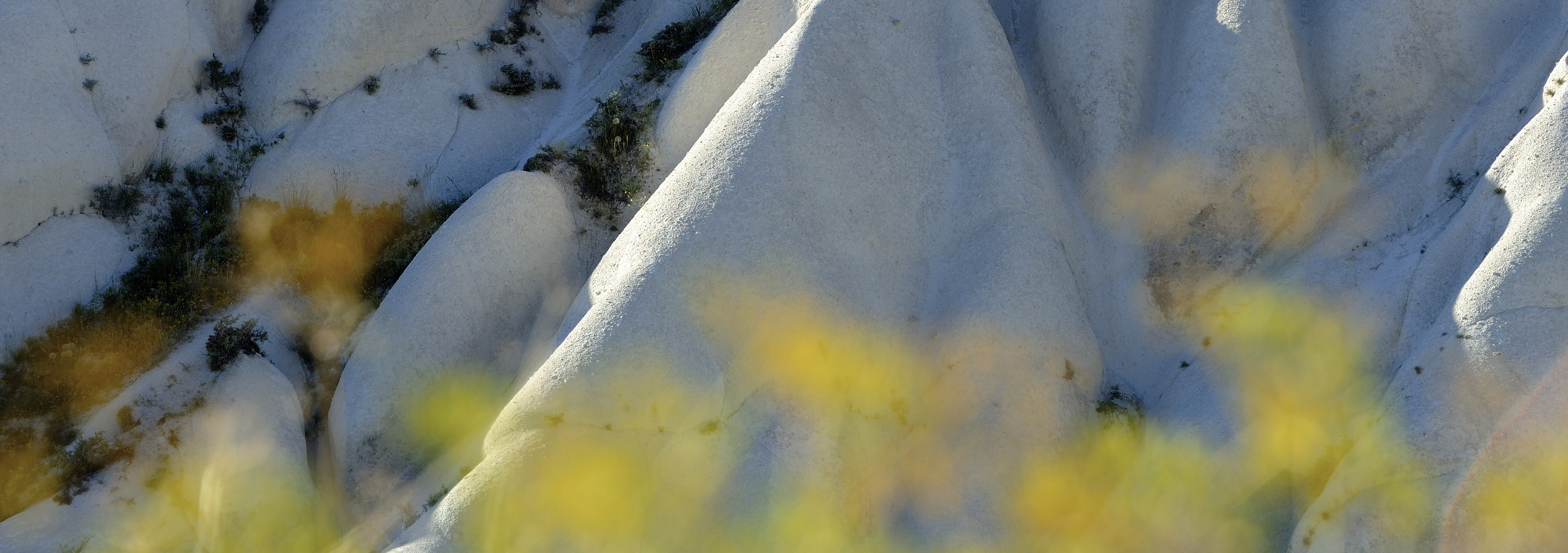 _dsc5290-1