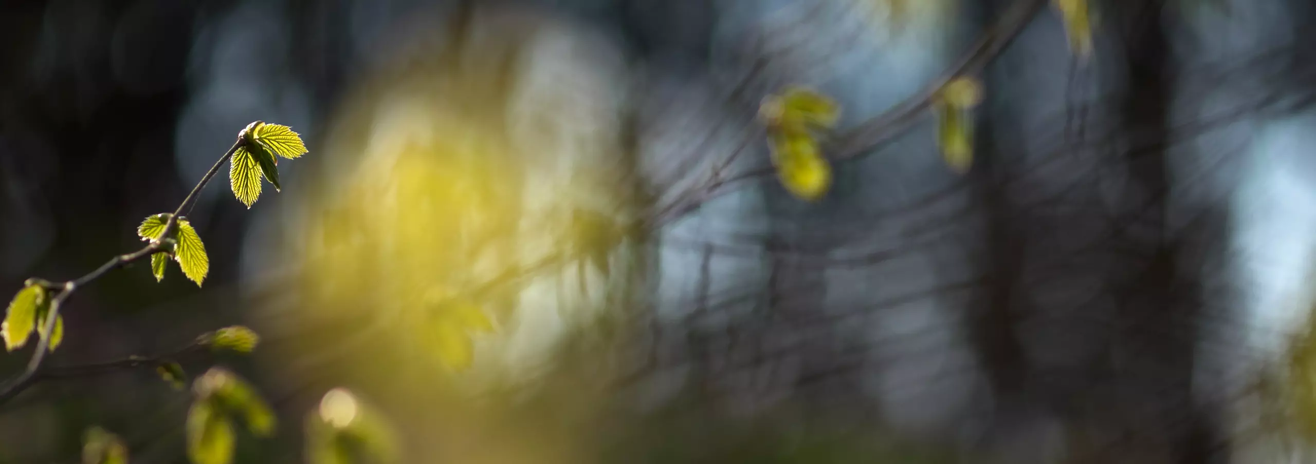 artworkadventure-1-of-34