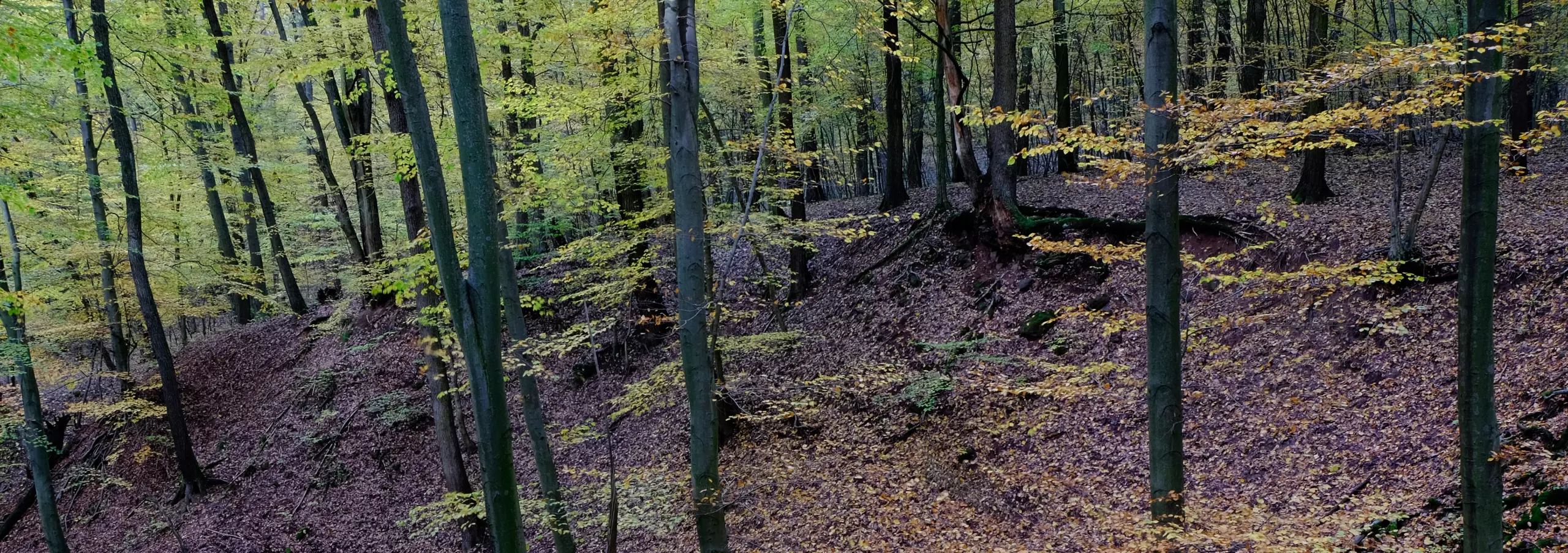 artworkadventure-33-of-34